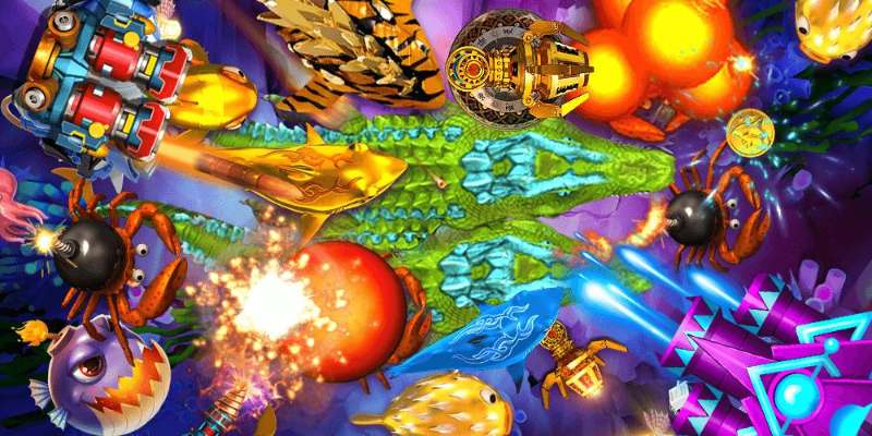 Tính năng rõ ràng hỗ trợ người mới hiệu quả